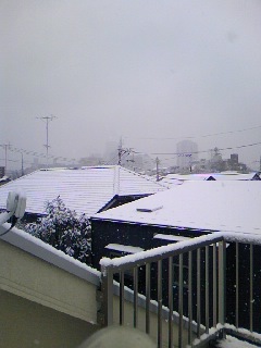 雪景色。_e0060341_730511.jpg