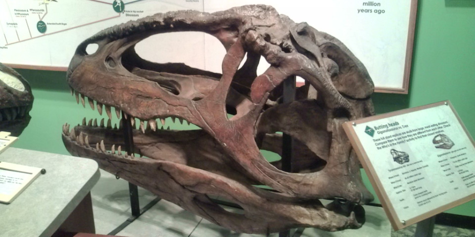 e0194142_10124487.jpg