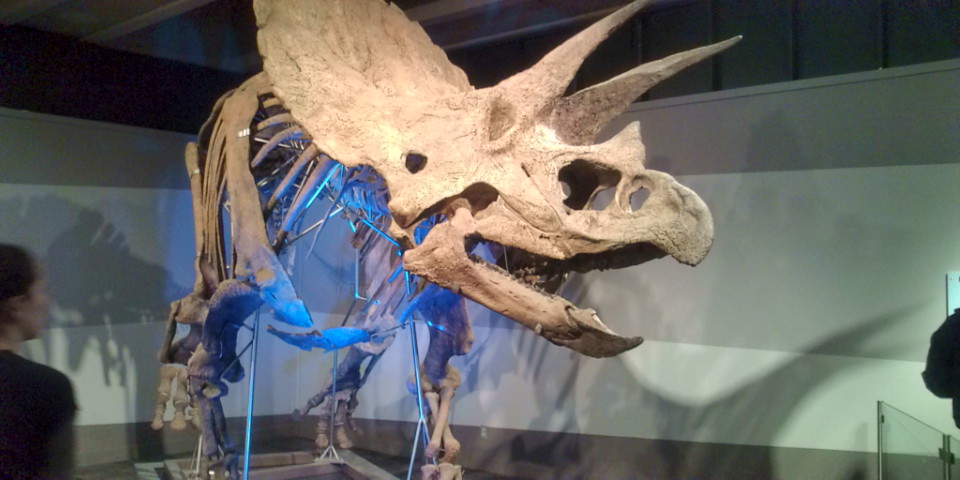 e0194142_1013846.jpg