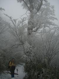 e0164643_20293511.jpg