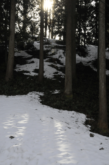 c0093046_8145568.gif