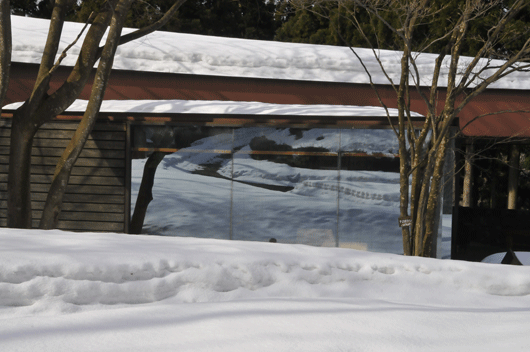 c0093046_8152142.gif