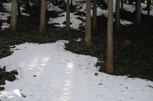 c0093046_815995.gif