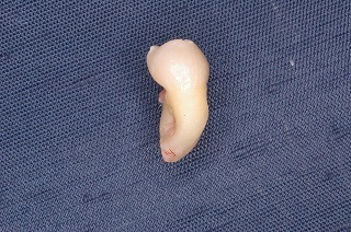 f0174854_05330100.jpg
