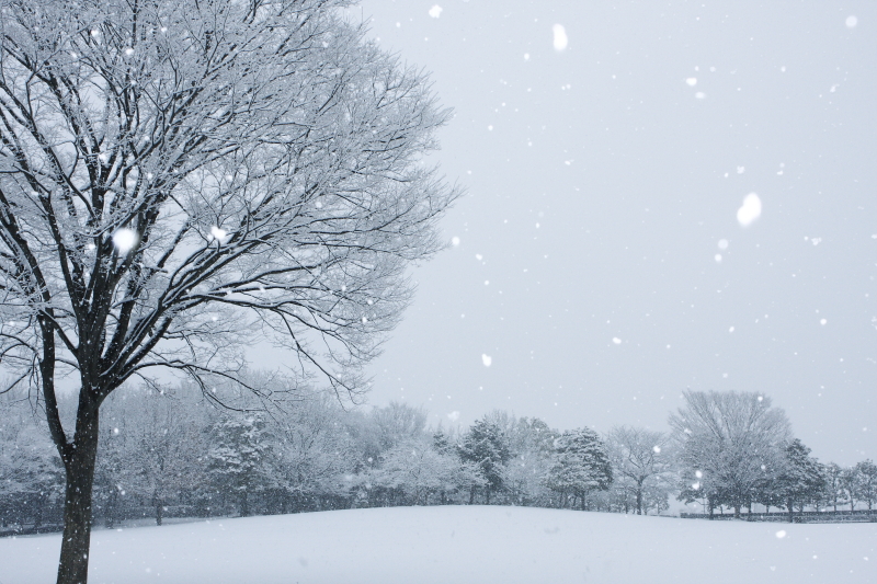 雪化粧草加公園Ⅰ_c0217255_19385725.jpg