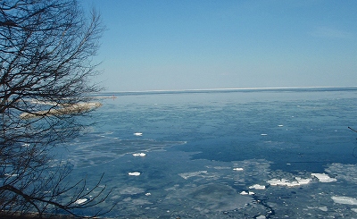 e0004756_20213434.jpg