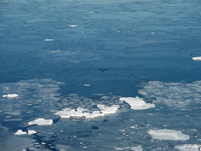 e0004756_20221957.jpg