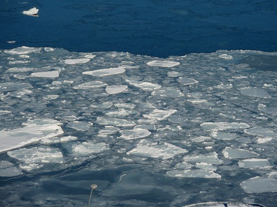 e0004756_2022401.jpg