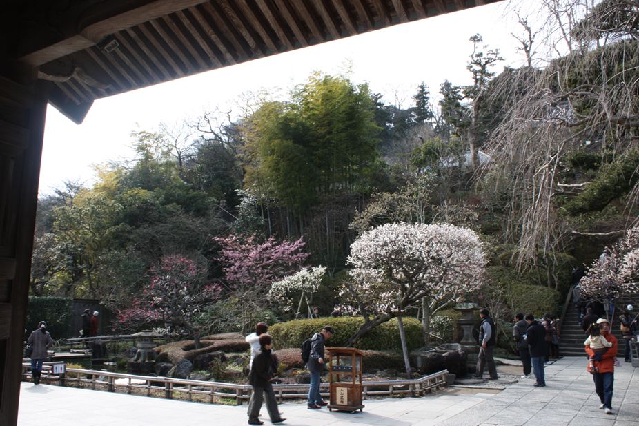 鎌倉❤小旅行（高徳院＆長谷寺編）_e0129656_2204289.jpg