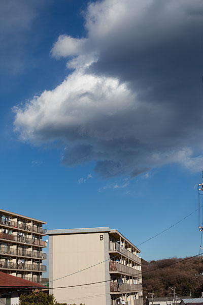 2010/02/18 VIVEZA 2_b0171364_13283637.jpg