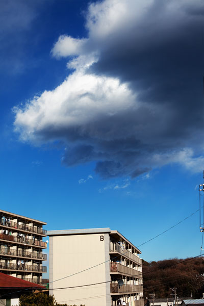 2010/02/18 VIVEZA 2_b0171364_1405015.jpg