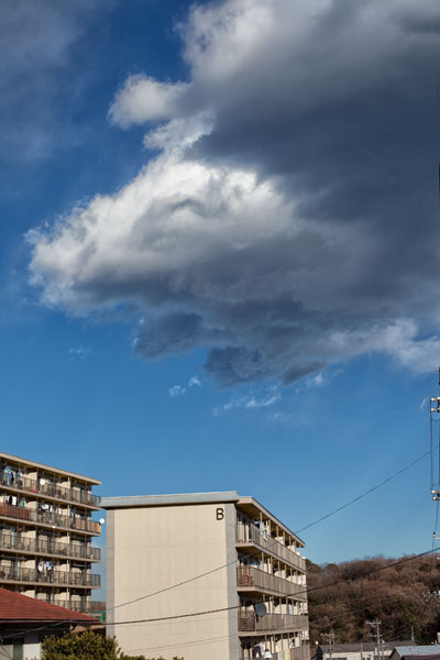 2010/02/18 VIVEZA 2_b0171364_141875.jpg