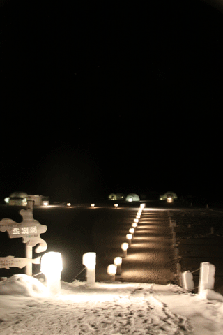 f0107364_2343884.gif