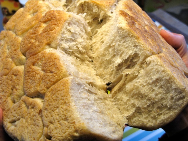 c0162965_643981.jpg