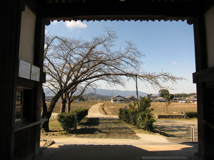 仏頭山上宮皇院 橘寺(聖徳太子誕生の寺)_a0045381_1931172.jpg