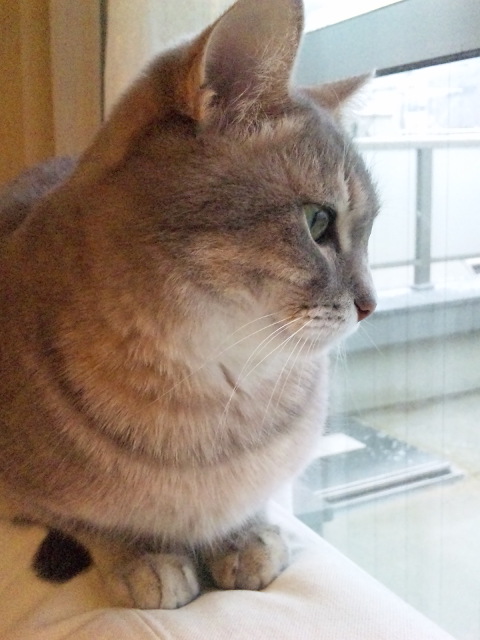 c0180885_8301688.jpg