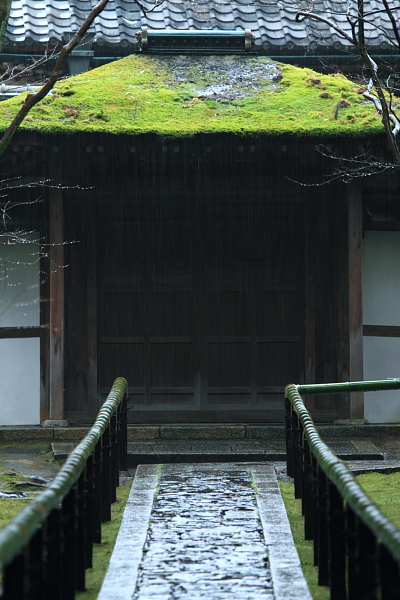 高桐院（大徳寺塔頭）_e0051888_22552477.jpg