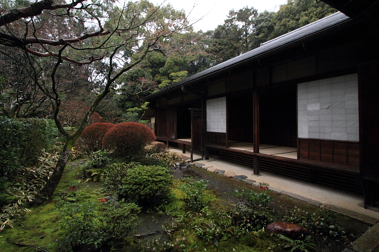 高桐院(大徳寺塔頭)_e0051888_22563776.jpg