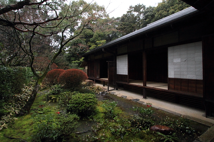 高桐院（大徳寺塔頭）_e0051888_22563776.jpg