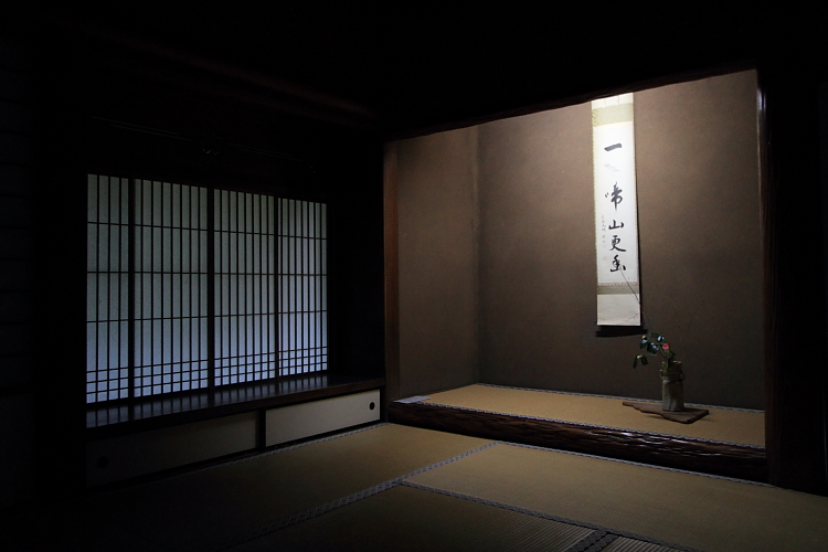 高桐院(大徳寺塔頭)_e0051888_2257149.jpg
