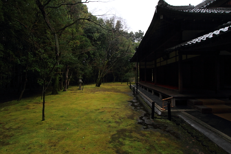 高桐院（大徳寺塔頭）_e0051888_22574480.jpg