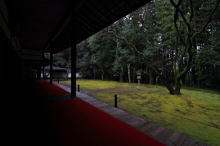 高桐院（大徳寺塔頭）_e0051888_2258257.jpg