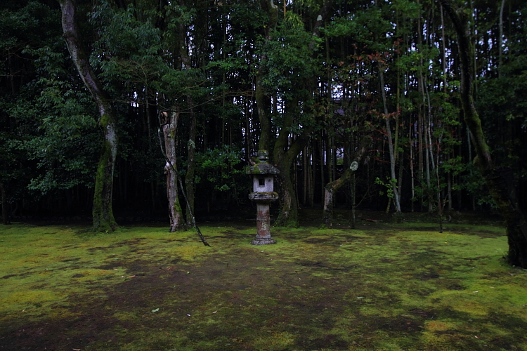 高桐院（大徳寺塔頭）_e0051888_22584160.jpg