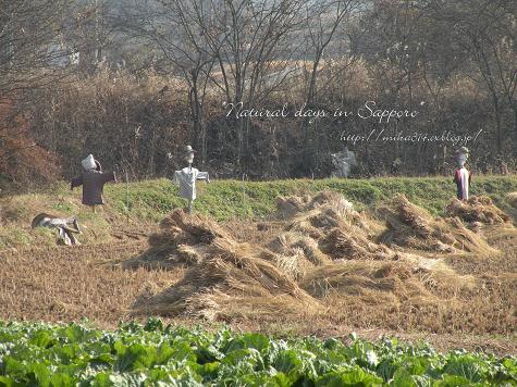 韓国旅行4日目　安東『河回村』（ハフェマウル）その1_a0124689_2143521.jpg