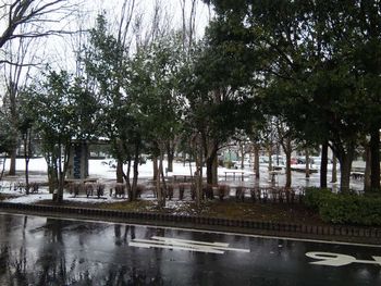 e0143294_10319100.jpg