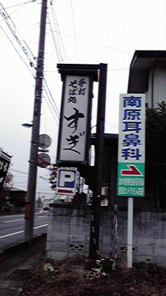 山形のスギ_f0090602_9563344.jpg