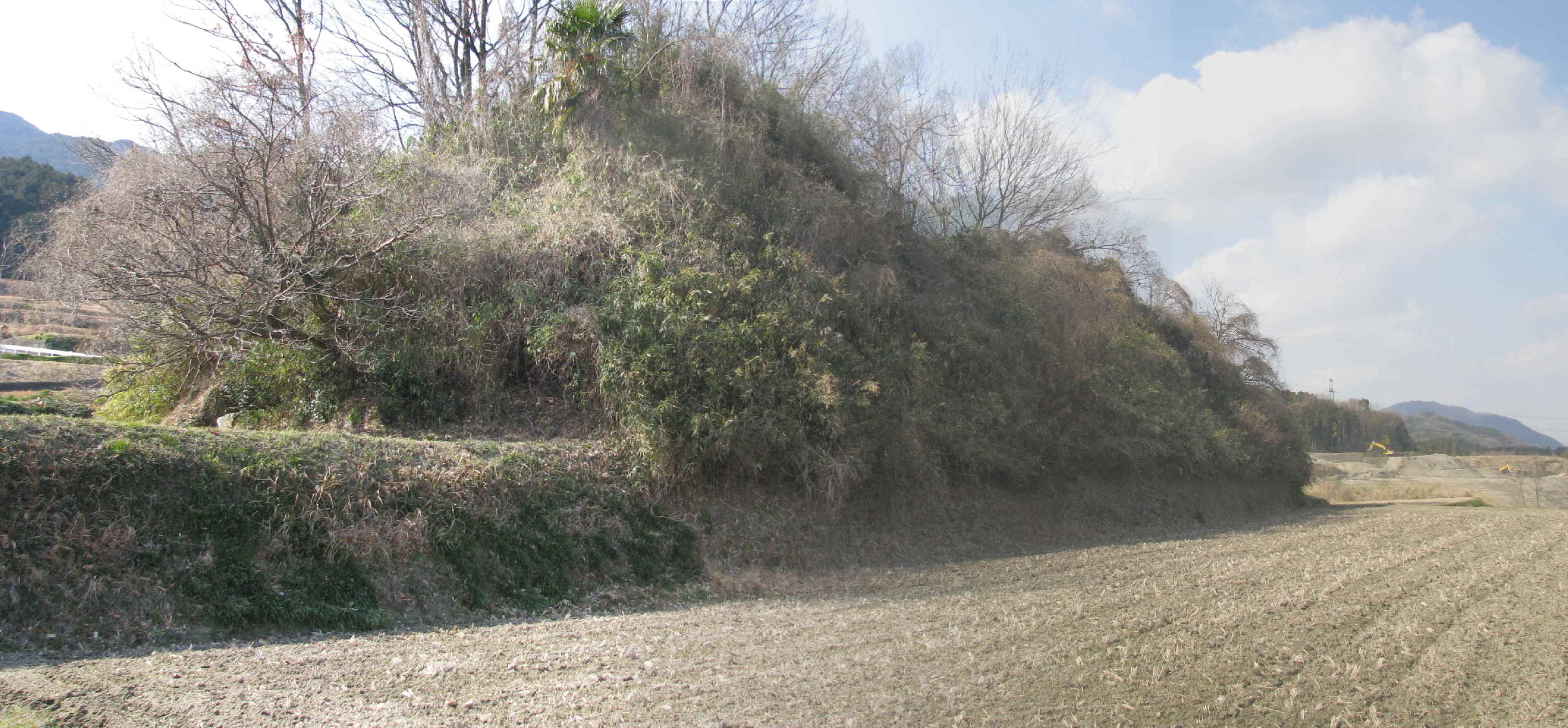 e0080110_22413544.jpg