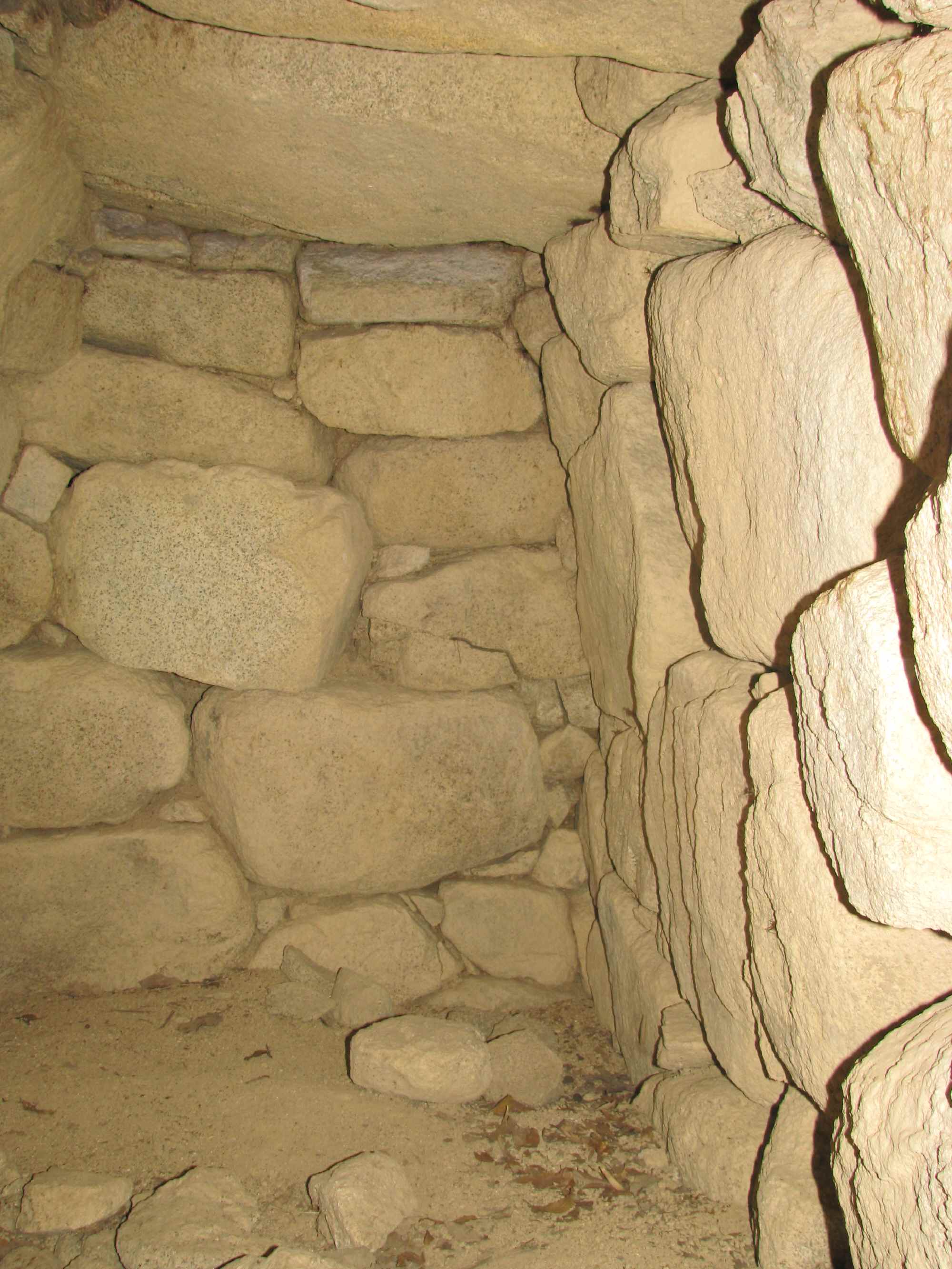 e0080110_22471944.jpg