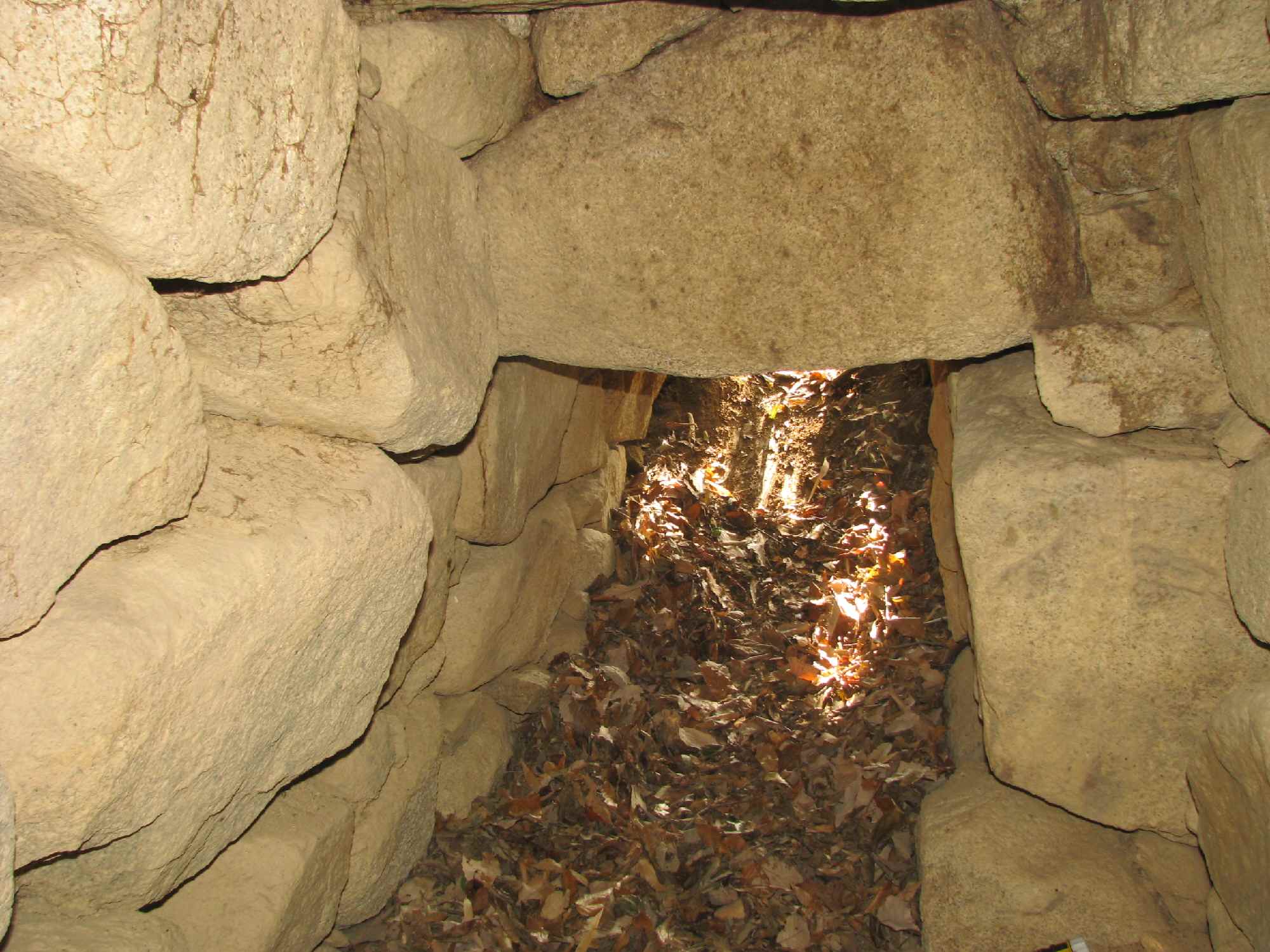 e0080110_2248433.jpg