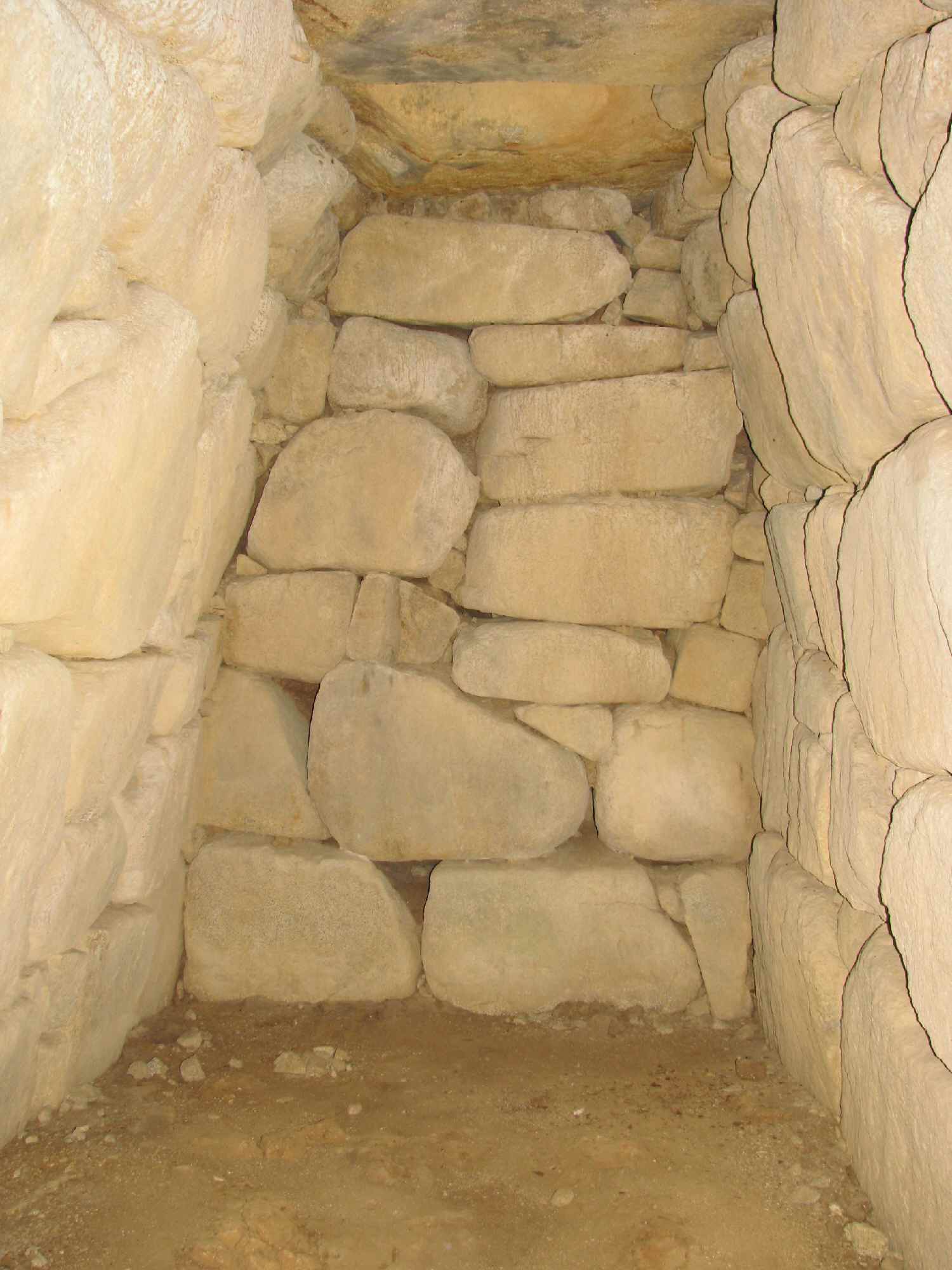 e0080110_2258810.jpg