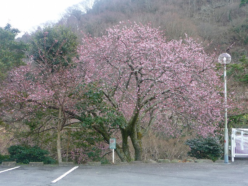 f0182513_082742.jpg
