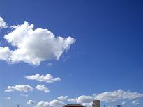 f0041115_13645.jpg