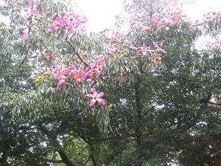 f0135018_88541.jpg