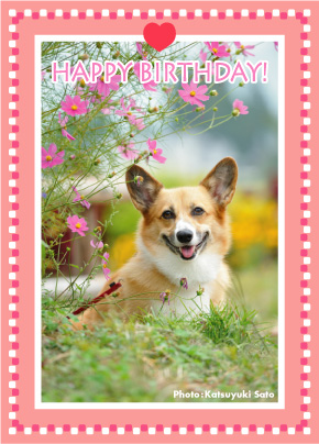 くるみちゃん、お誕生日おめでとう♪_d0102523_1155566.jpg