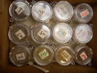 c0203224_8261061.jpg