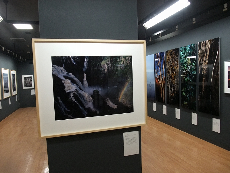 Ｓｐｉｒｉｔ　札幌展　始まりました_f0050534_23505237.jpg