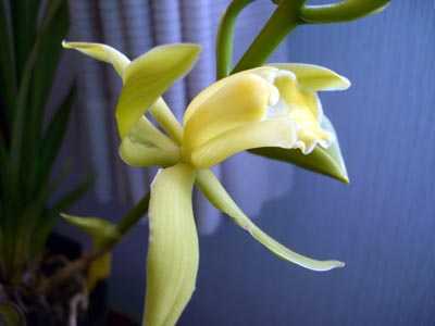 e0110940_2205559.jpg