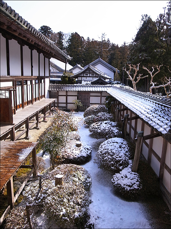 c0073742_00936.jpg