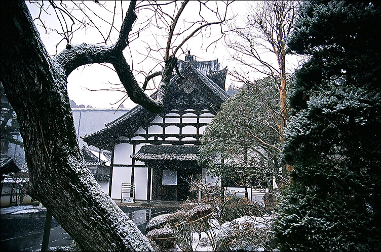 c0073742_13291665.jpg