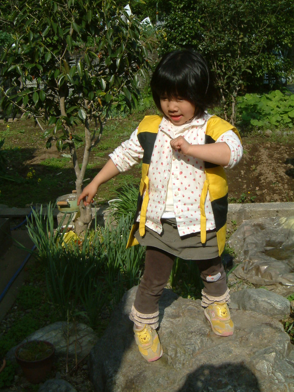 a0122144_23325190.jpg