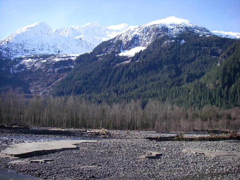 Squamish River_f0084544_3543155.jpg