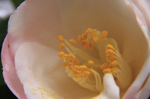 b0016545_18372569.jpg