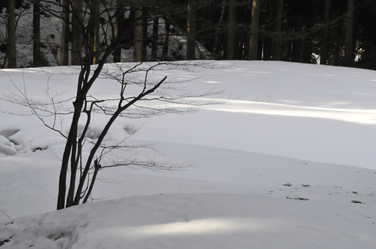 c0093046_6502429.gif