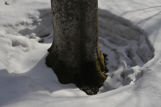 c0093046_6504285.gif
