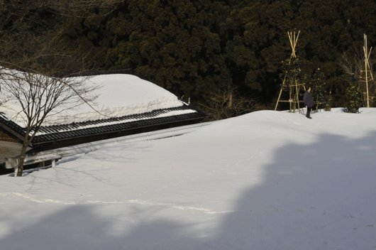 c0093046_651096.gif