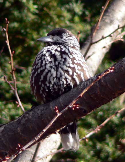 f0083977_10211567.jpg